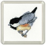 Little friends coal tit